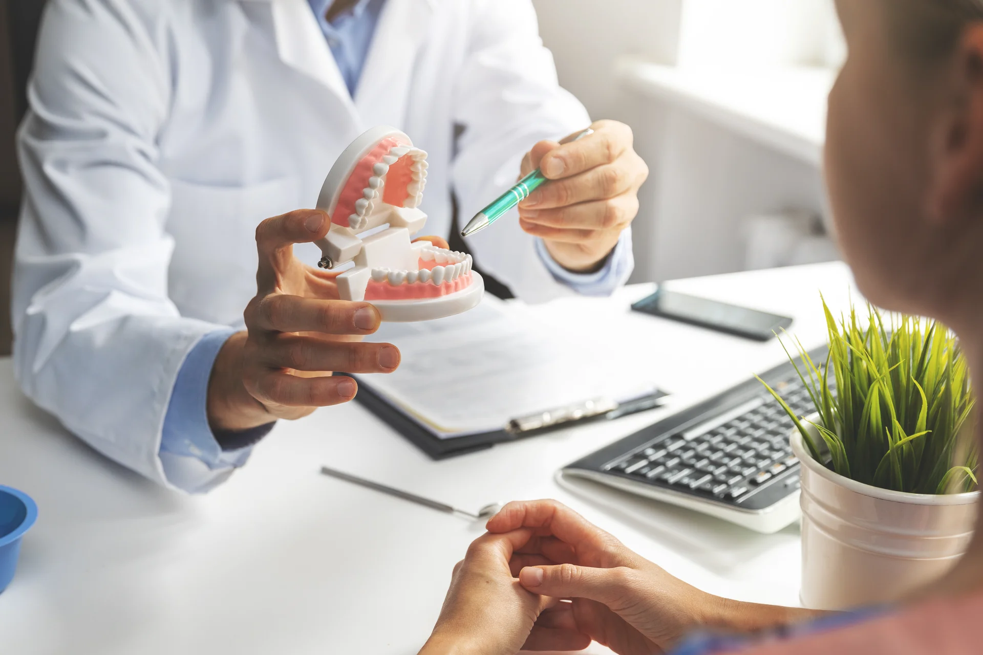 Dentist explaining treatment to a patient using a dental arch model